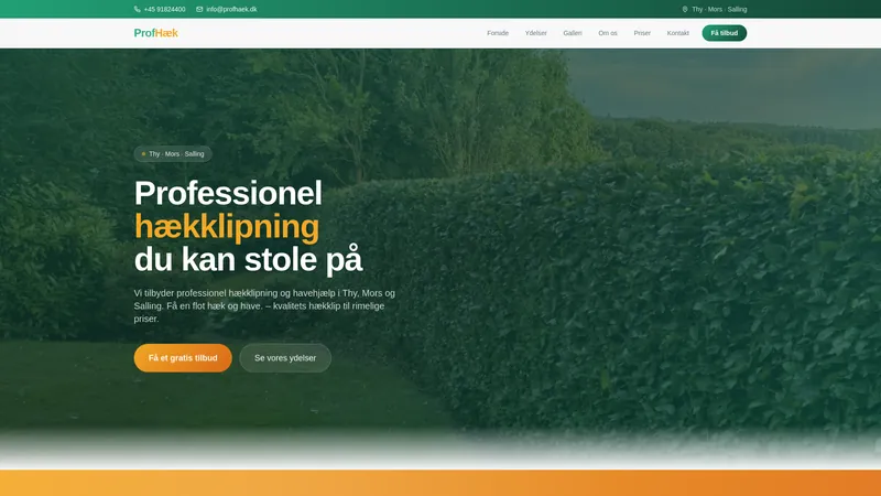 Forsiden af Profhæks hjemmeside